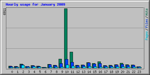 Hourly usage for January 2009